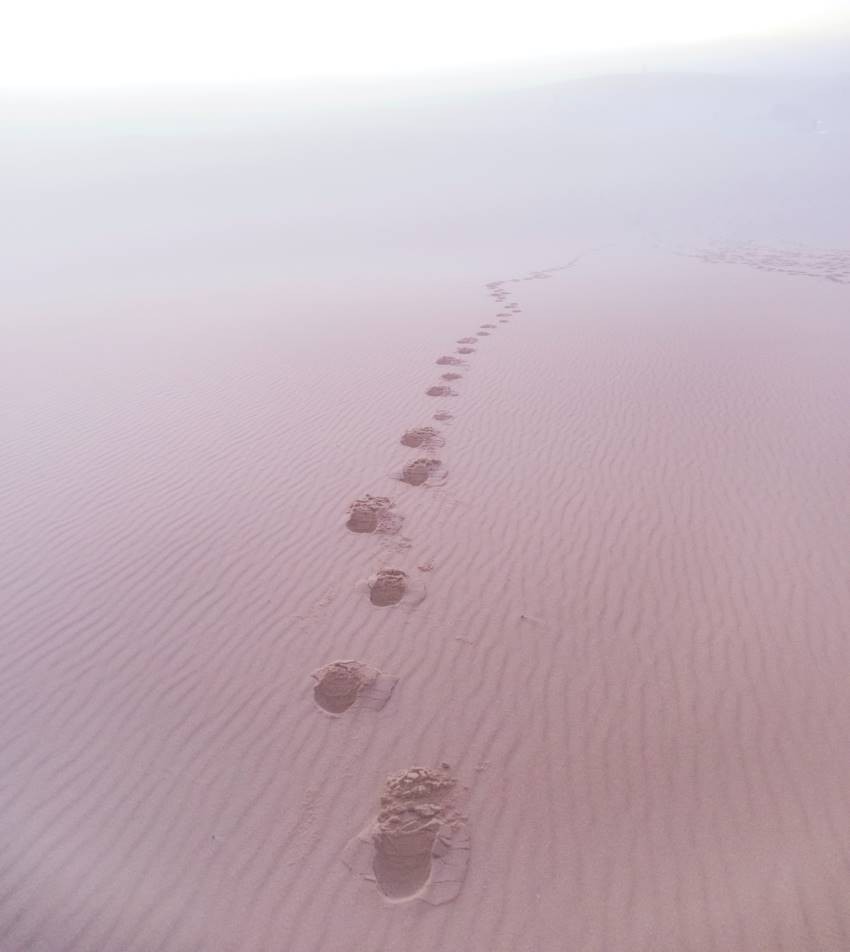 22.07.18.Exec.-Dir.-Resignation---Footprints-in-the-Sand